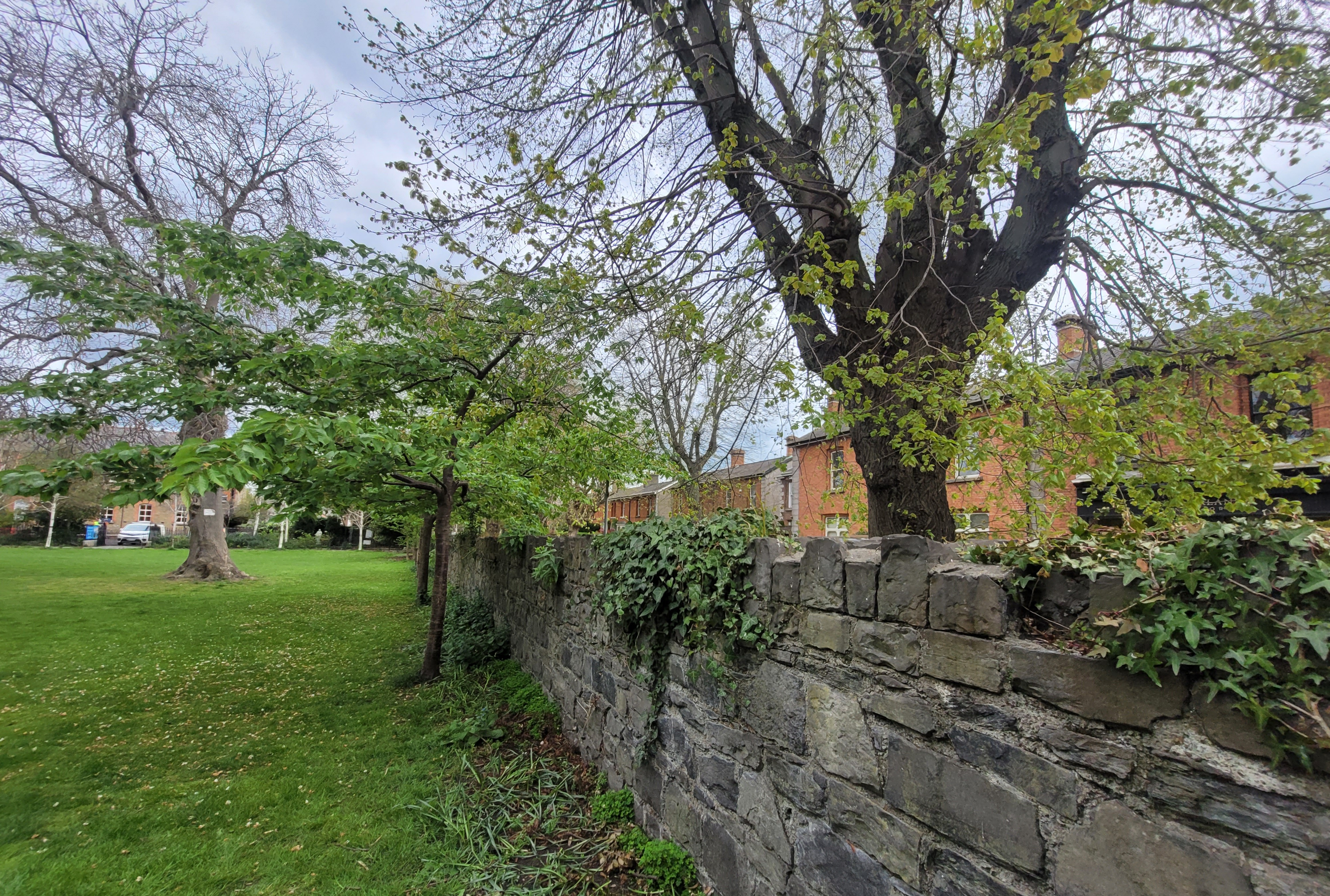 Slideshow Image 1